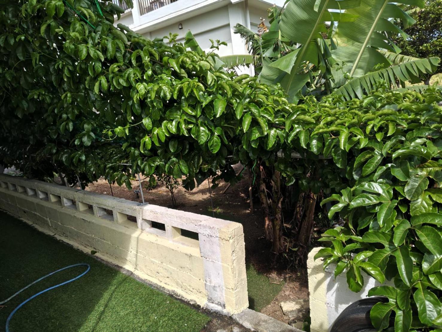 宮古島ゲストハウス　マウイ Miyakojima  Exterior foto